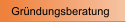 Grndungsberatung